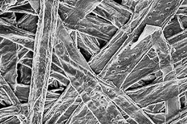 paper_fibers-v2